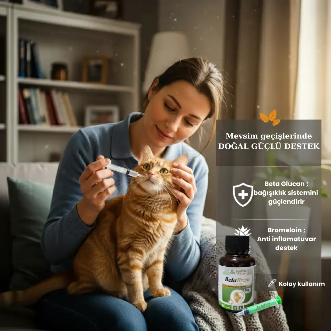 1webp - EcoPureNatural