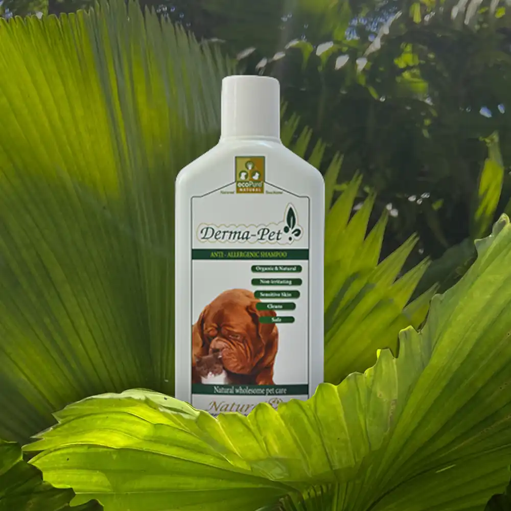 dermapet-rekkkwebp - EcoPureNatural