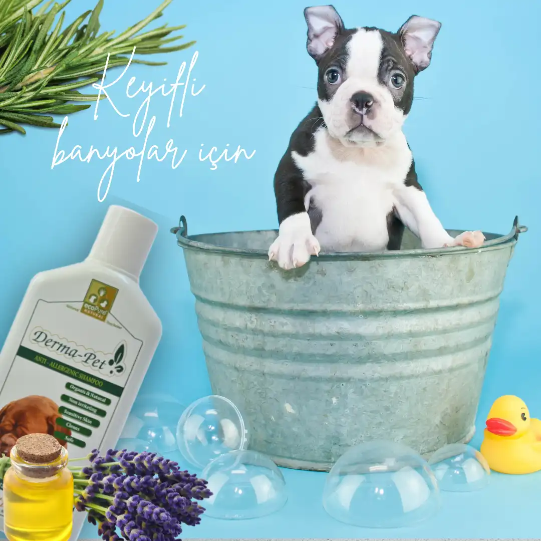 dermapet2webp - EcoPureNatural