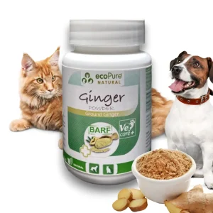 Ginger®Powder Dog & Cat 40g