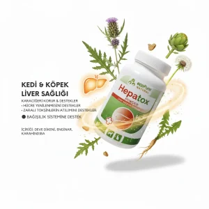 kedi-kopek-liver-sagligi-karacigeri-korur-destekler-hucre-yenilenmesini-destekler-zarali-toksinlerin-atilimini-destekler-1webp - EcoPureNatural
