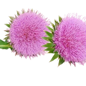 milk-PhotoRoomwebp - EcoPureNatural