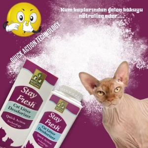 stay-lavanwebp - EcoPureNatural