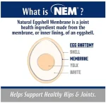 NEMFLEX® Powder 40g Kalça ve eklem desteği - Görsel 4