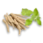 BARFeed Turmeric Powder®Dog & Cat 40g - Görsel 3