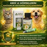 betebrom beteglukan + bromelain