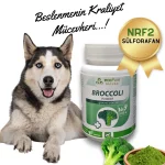 BARFeed Broccoli Powder®Dog 40g