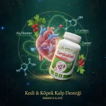 CardioDol® Powder 90g® Kalp fonksiyon desteği - Görsel 4