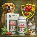 CardioDol® Powder 40g Kalp fonksiyon desteği - Görsel 6