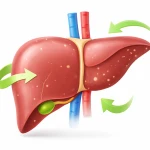 Karaciğer Sağlığı