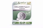 Collagen Type II® Powder 40g - % 100 saf type II kollojen - Görsel 8