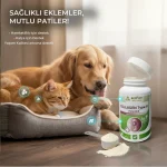 Collagen Type II®100g  ''% 100 saf kollojen'' - Görsel 5