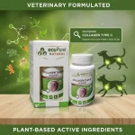 Collagen Type II® Powder 40g - % 100 saf type II kollojen - Görsel 6