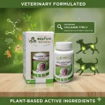 Collagen Type II® Powder 40g - % 100 saf type II kollojen - Görsel 7