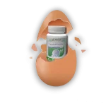 Eggshell Powder® Doğal kalsiyum desteği - Görsel 4