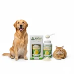 NEMFLEX® Powder 40g Kalça ve eklem desteği - Görsel 5