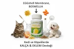NEMFLEX® Powder 40g Kalça ve eklem desteği - Görsel 8