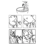 Amino-Bolic®Liquid aminoasit takviyesi Dog 120ml - Görsel 2