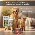 L-Carnitine®Powder 40g  Kalp, Enerji ve Yağ Metabolizması Desteği - Görsel 9