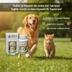 L-Carnitine®Powder 40g  Kalp, Enerji ve Yağ Metabolizması Desteği - Görsel 10