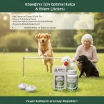 MSM® Powder Dog 40g - Görsel 5