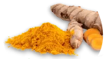 BARFeed Turmeric Powder®Dog & Cat 40g - Görsel 4