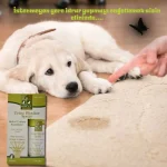 Urine Blocker® Spray Dog - Köpek idrar yapma engelleyici - Görsel 2