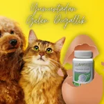 Eggshell Powder® Doğal kalsiyum desteği - Görsel 5