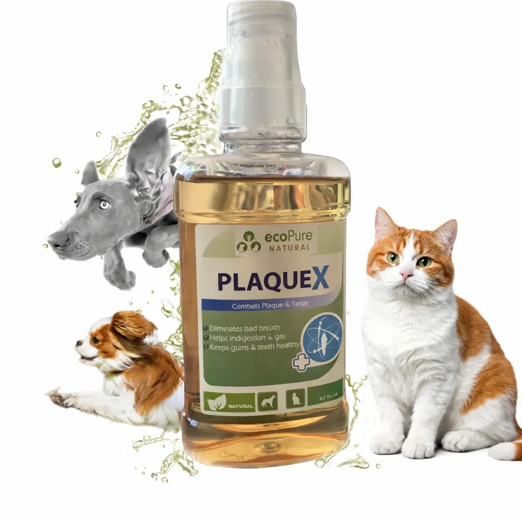 PlaqueX şişe görseli