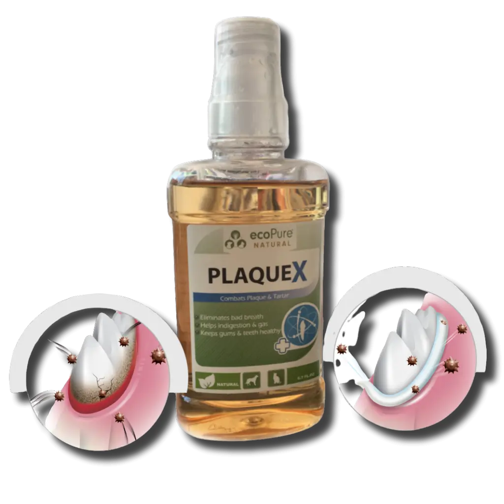 PlaqueX